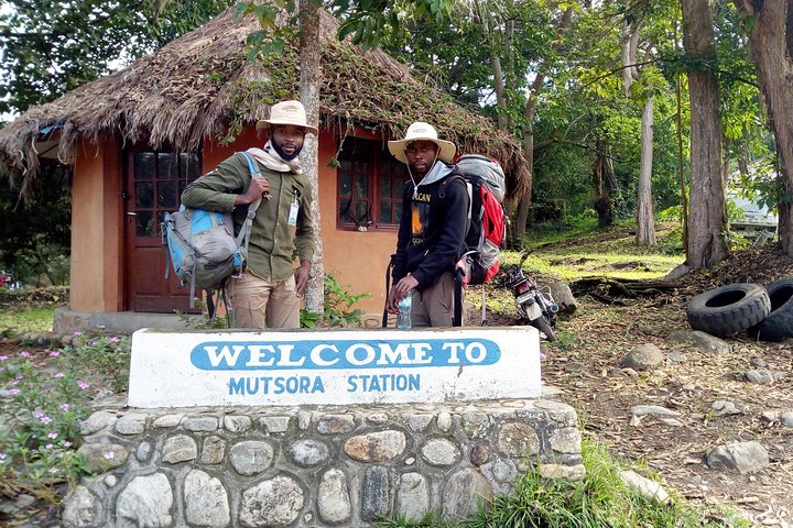 9 dias no Congo Rwenzori - Caminhada na montanha - atingindo o pico Margherita (5109 m de alt)