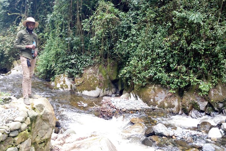 9 dias no Congo Rwenzori - Caminhada na montanha - atingindo o pico Margherita (5109 m de alt)