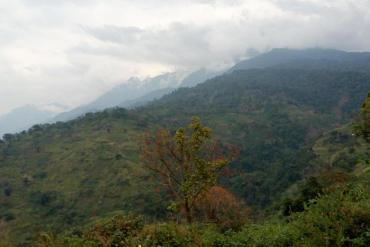 9 dias no Congo Rwenzori - Caminhada na montanha - atingindo o pico Margherita (5109 m de alt)
