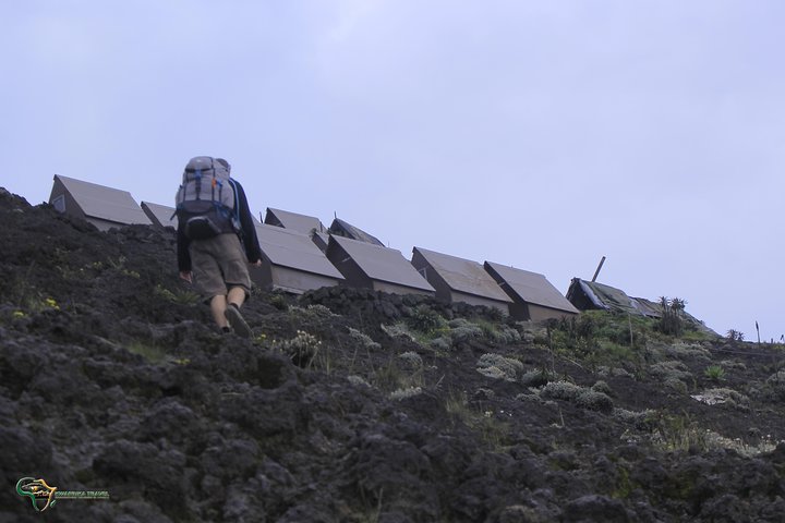 13 jours de randonnée sur le volcan Congo Nyiragongo et les montagnes Rwenzoris (lave et glacier))