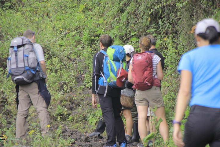 13 jours de randonnée sur le volcan Congo Nyiragongo et les montagnes Rwenzoris (lave et glacier))