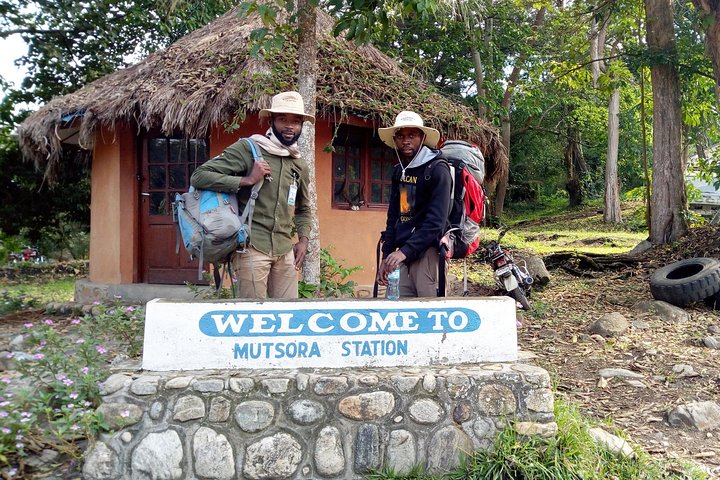 13 jours de randonnée sur le volcan Congo Nyiragongo et les montagnes Rwenzoris (lave et glacier))