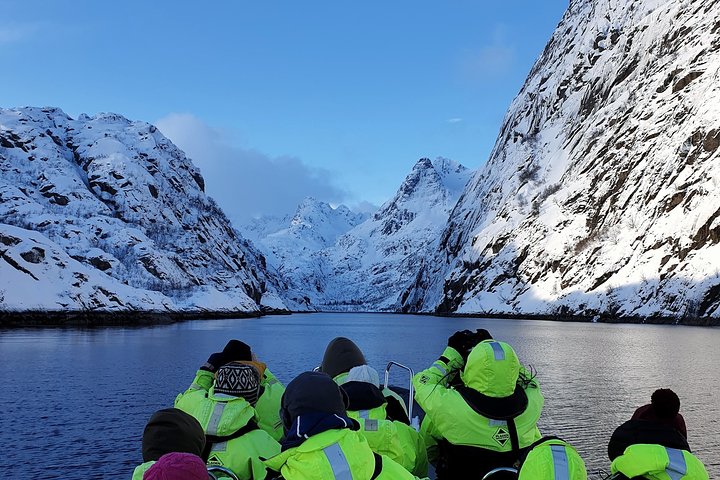 Premium RIB Boot naar Trollfjord & Sea Eagles