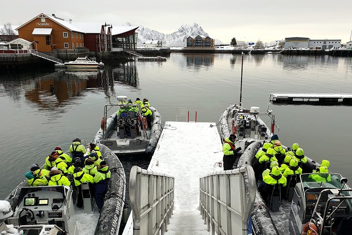Premium RIB Boot naar Trollfjord & Sea Eagles