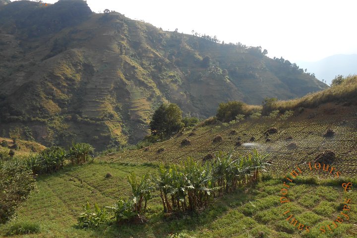 Uluguru Mountains Randonnée au pic Bondwa Camping de 2 jours et 1 nuit