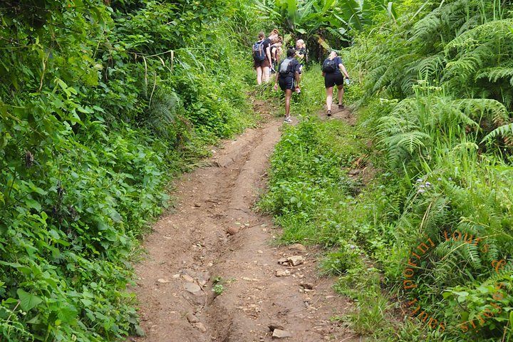 Uluguru Mountains Randonnée au pic Bondwa Camping de 2 jours et 1 nuit