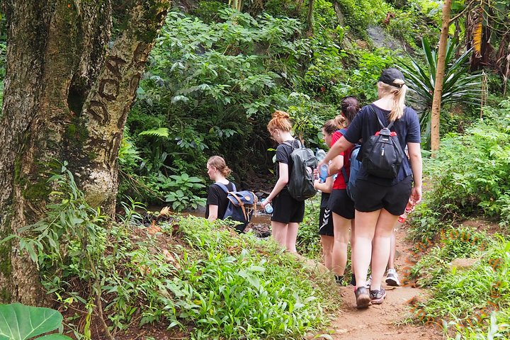 Uluguru Mountains Randonnée au pic Bondwa Camping de 2 jours et 1 nuit