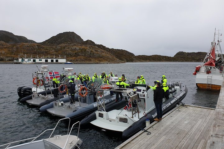 Premium RIB Boot naar Trollfjord & Sea Eagles