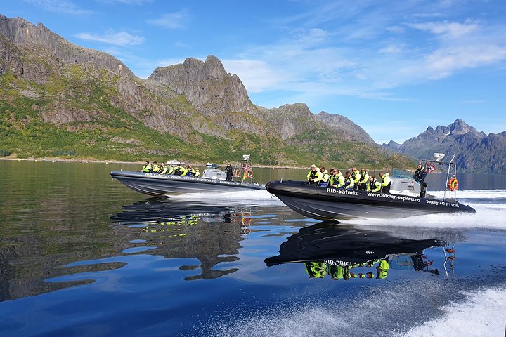 Premium RIB Boot naar Trollfjord & Sea Eagles