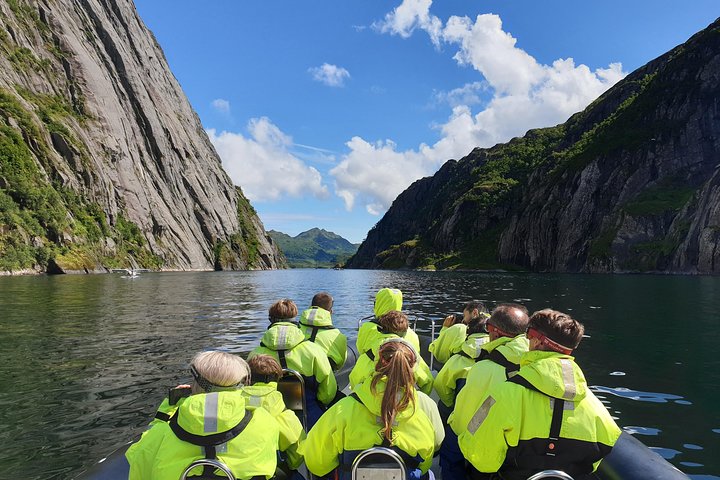 Premium RIB Boot naar Trollfjord & Sea Eagles
