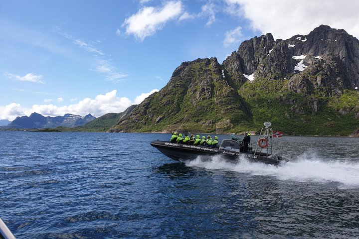 Premium RIB Boot naar Trollfjord & Sea Eagles