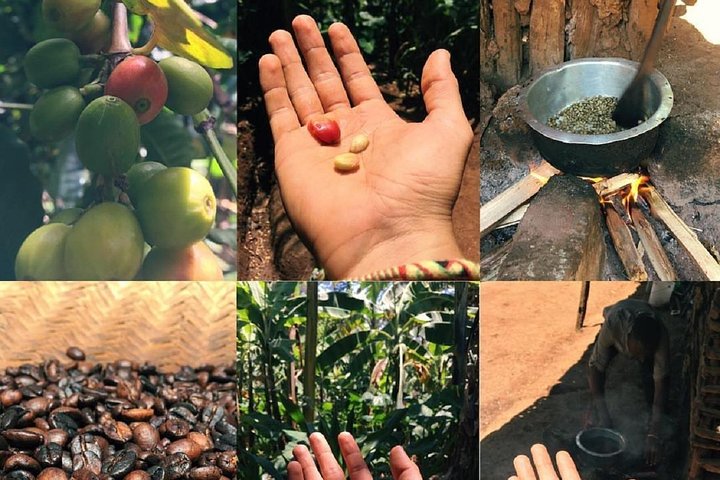 Materuni-Wasserfälle, Kaffeetour und heiße Quellen von Kikuletwa