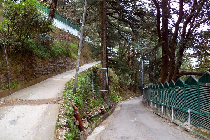 Upptäck Colonial Trails of Shimla 2 timmars guidad vandring