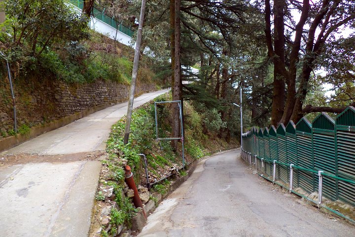 Visite à pied de 2 heures du patrimoine et de la culture à Shimla