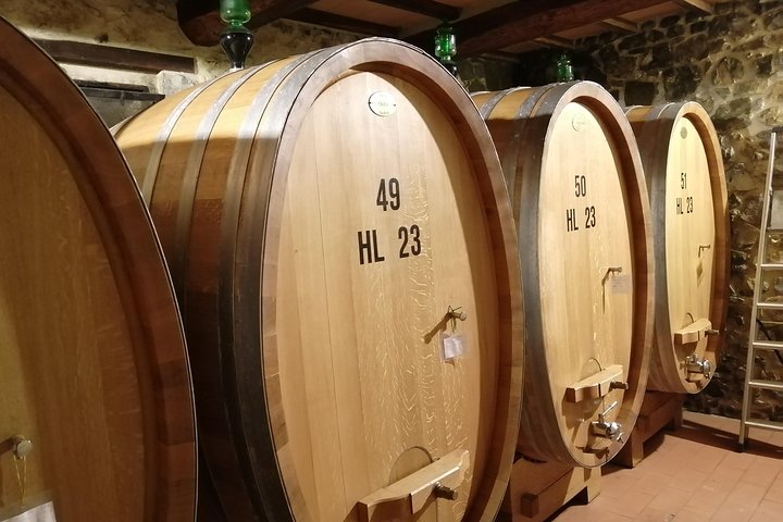 Excursión con cata de vino Brunello di Montalcino para grupos reducidos desde Siena