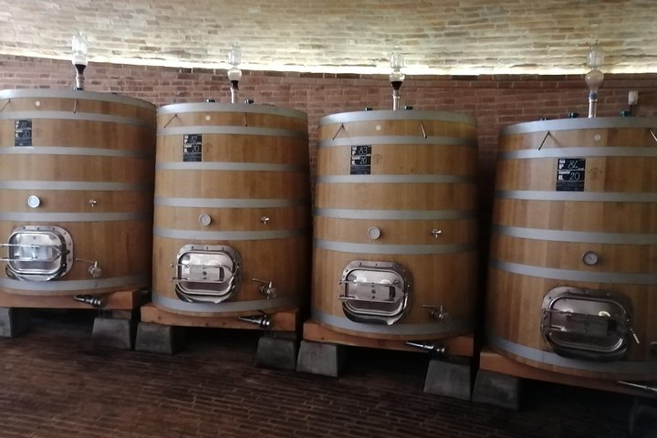 Excursión con cata de vino Brunello di Montalcino para grupos reducidos desde Siena