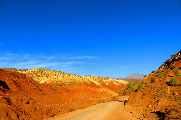 Dagtocht vanuit Ouarzazate: Teloute, Ait Ben Haddou & Oasis Fint inclusief lunch