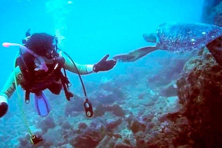 Escursione subacquea a Machalilla: vita marina e acque cristalline.