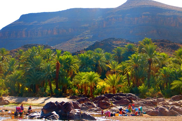Dagtocht vanuit Ouarzazate: Teloute, Ait Ben Haddou & Oasis Fint inclusief lunch