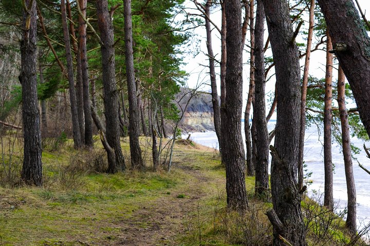 Small-Group Half-Day Tour of Rummu and Coastal Cliffs