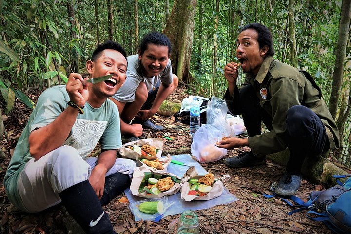Monkey Business 2 giorni - 1 notte Trekking nella giungla a Bukit Lawang