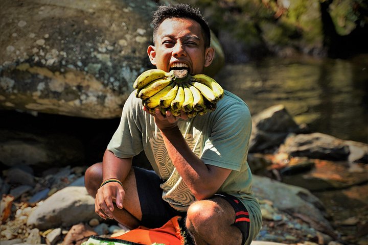 Monkey Business 2 giorni - 1 notte Trekking nella giungla a Bukit Lawang