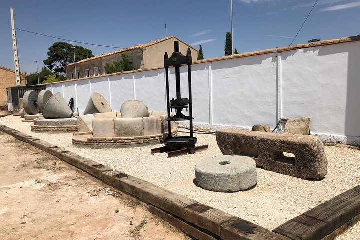 Tour del Aceite de Oliva y Visita al Casco Antiguo de Belchite