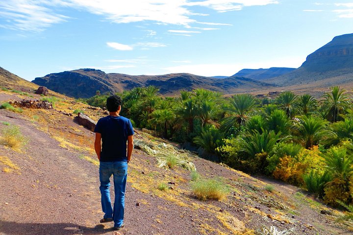 Dagtocht vanuit Ouarzazate: Teloute, Ait Ben Haddou & Oasis Fint inclusief lunch