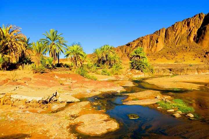 Dagtocht vanuit Ouarzazate: Teloute, Ait Ben Haddou & Oasis Fint inclusief lunch