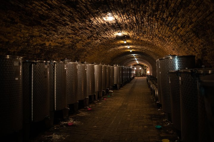 Norte da Sérvia: Sremski Karlovci e Novi Sad Tour de dia inteiro de Belgrado