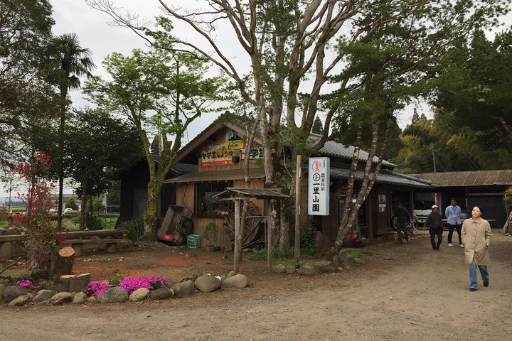 Experiência de colheita (cozinha rural com legumes da estação)