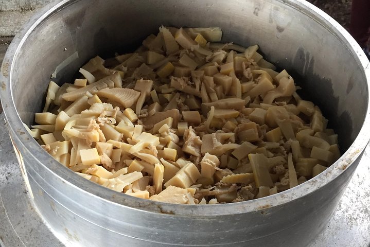 Experiência de colheita (cozinha rural com legumes da estação)