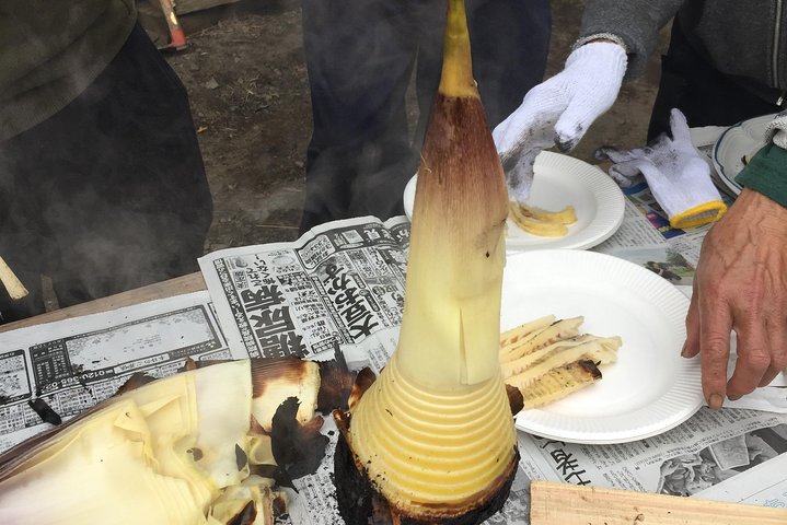 Experiência de colheita (cozinha rural com legumes da estação)