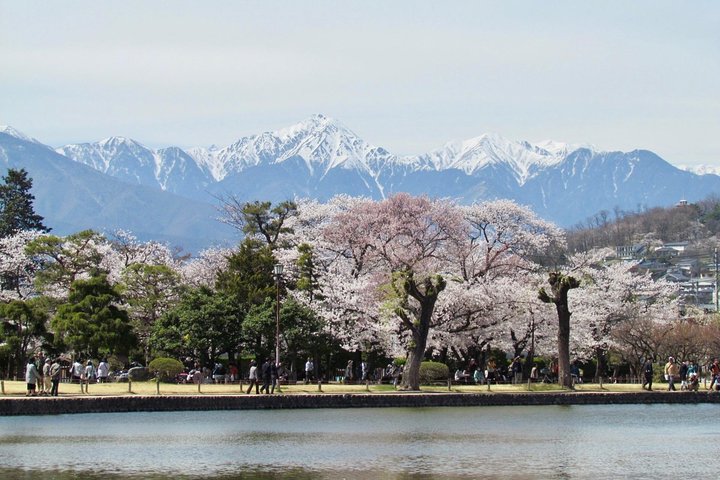 Matsumoto Castle, Sake & lokale hapjes wandeltocht
