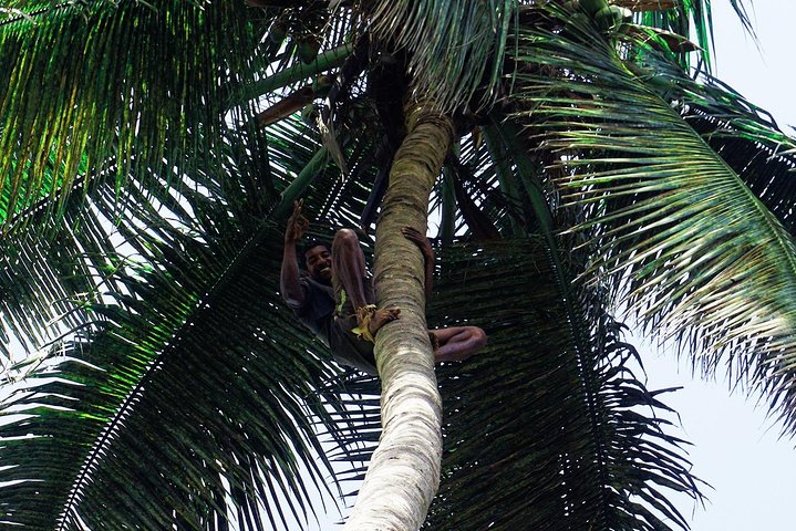 Like Locals: Banana Plantation, and Cuscuz with locals