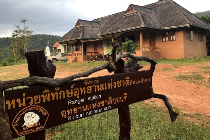 Observation des éléphants et de la faune dans le parc national de Kuiburi - Visite privée de l'après-midi