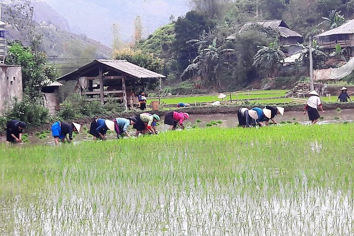 Ha Giang Loop 4 Jours 3 Nuits Tour à moto avec cavalier facile