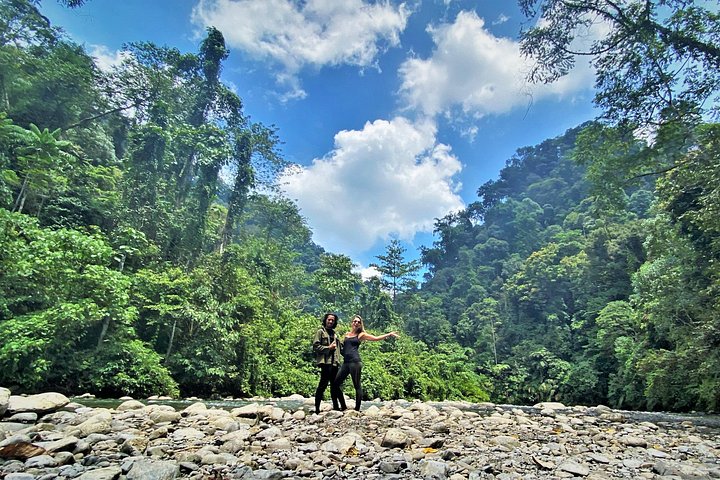 Monkey Business 2 giorni - 1 notte Trekking nella giungla a Bukit Lawang