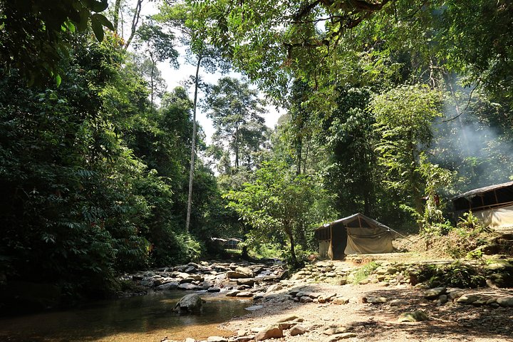 Monkey Business 2 giorni - 1 notte Trekking nella giungla a Bukit Lawang