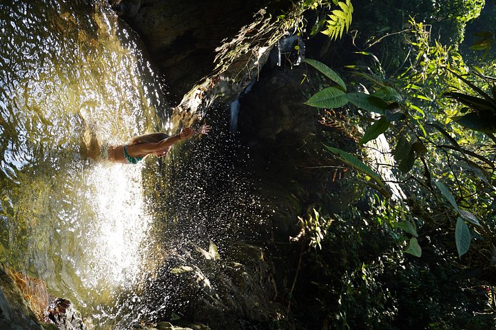 Monkey Business 2 giorni - 1 notte Trekking nella giungla a Bukit Lawang