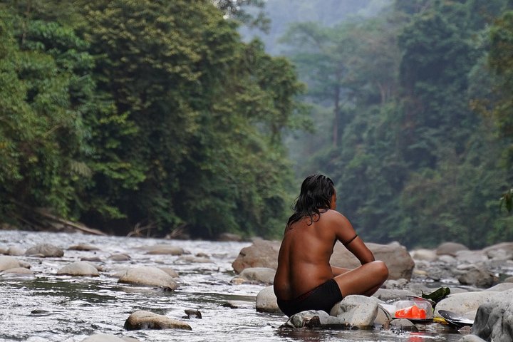 Monkey Business 2 giorni - 1 notte Trekking nella giungla a Bukit Lawang