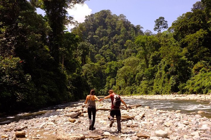 Monkey Business 3 dagen - 2 nachten Jungle trekking (inclusief raften)