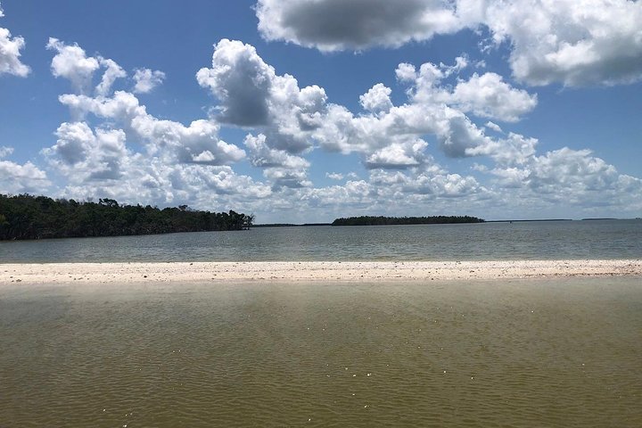 Marco Island 2 uur dolfijnen-, vogelen- en beschietingen-tour