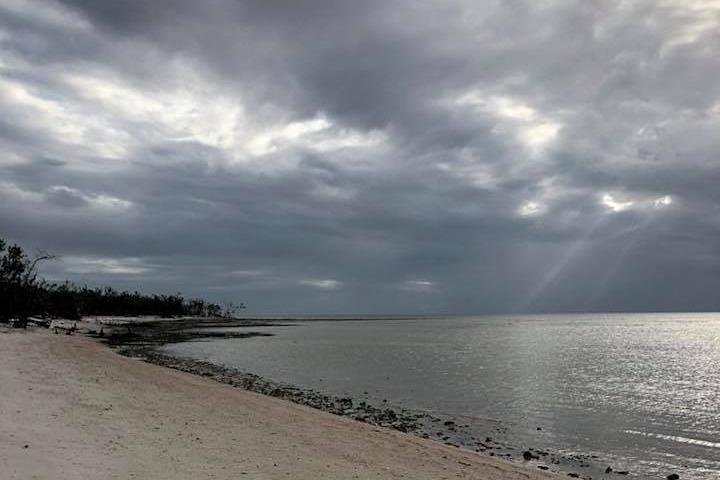 Marco Island 2 uur dolfijnen-, vogelen- en beschietingen-tour