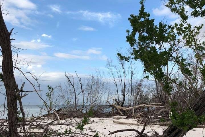 Marco Island 2 uur dolfijnen-, vogelen- en beschietingen-tour