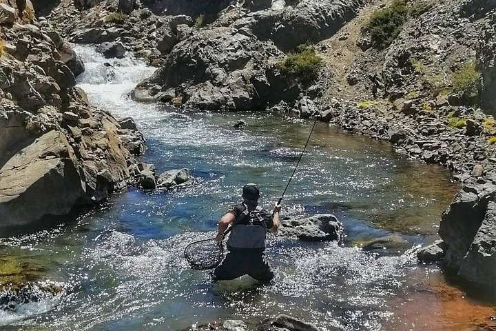 Fly Fishing on Private Andean River Including Barbecue Lunch