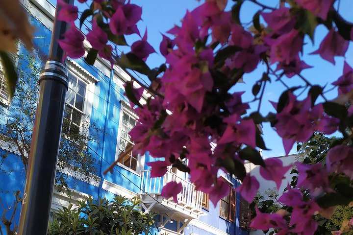 Un tour privado completo de Valparaíso desde Santiago (estándar)