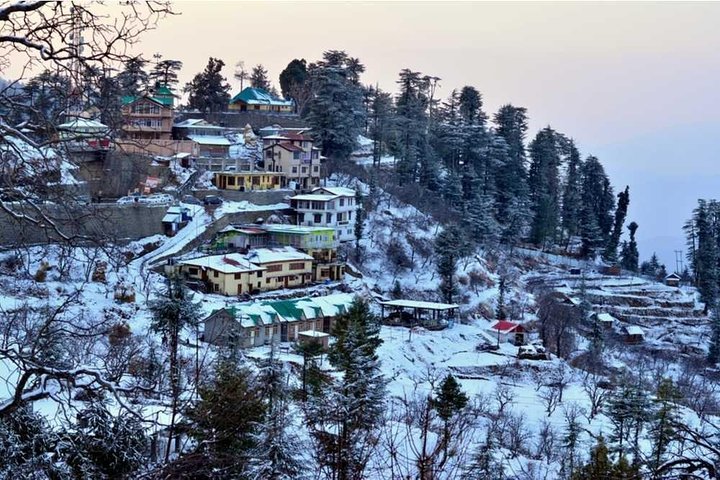 Privat 7-dages Shimla Manali Hill Stations Tour fra Chandigarh
