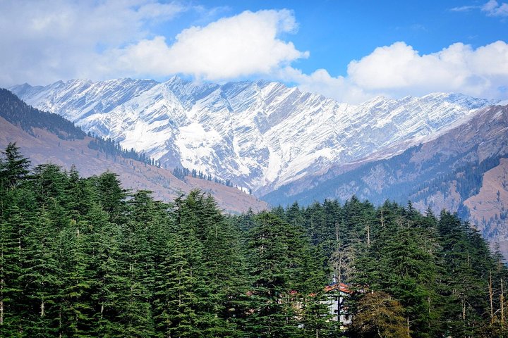 Privat 7-dages Shimla Manali Hill Stations Tour fra Chandigarh