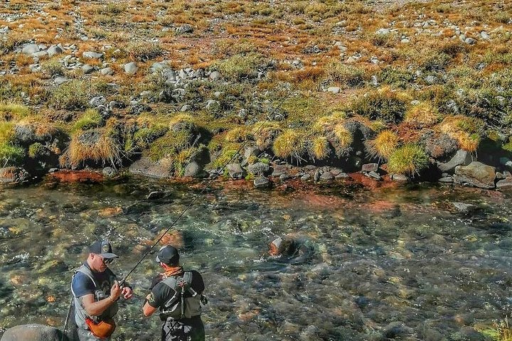 Fly Fishing on Private Andean River Including Barbecue Lunch